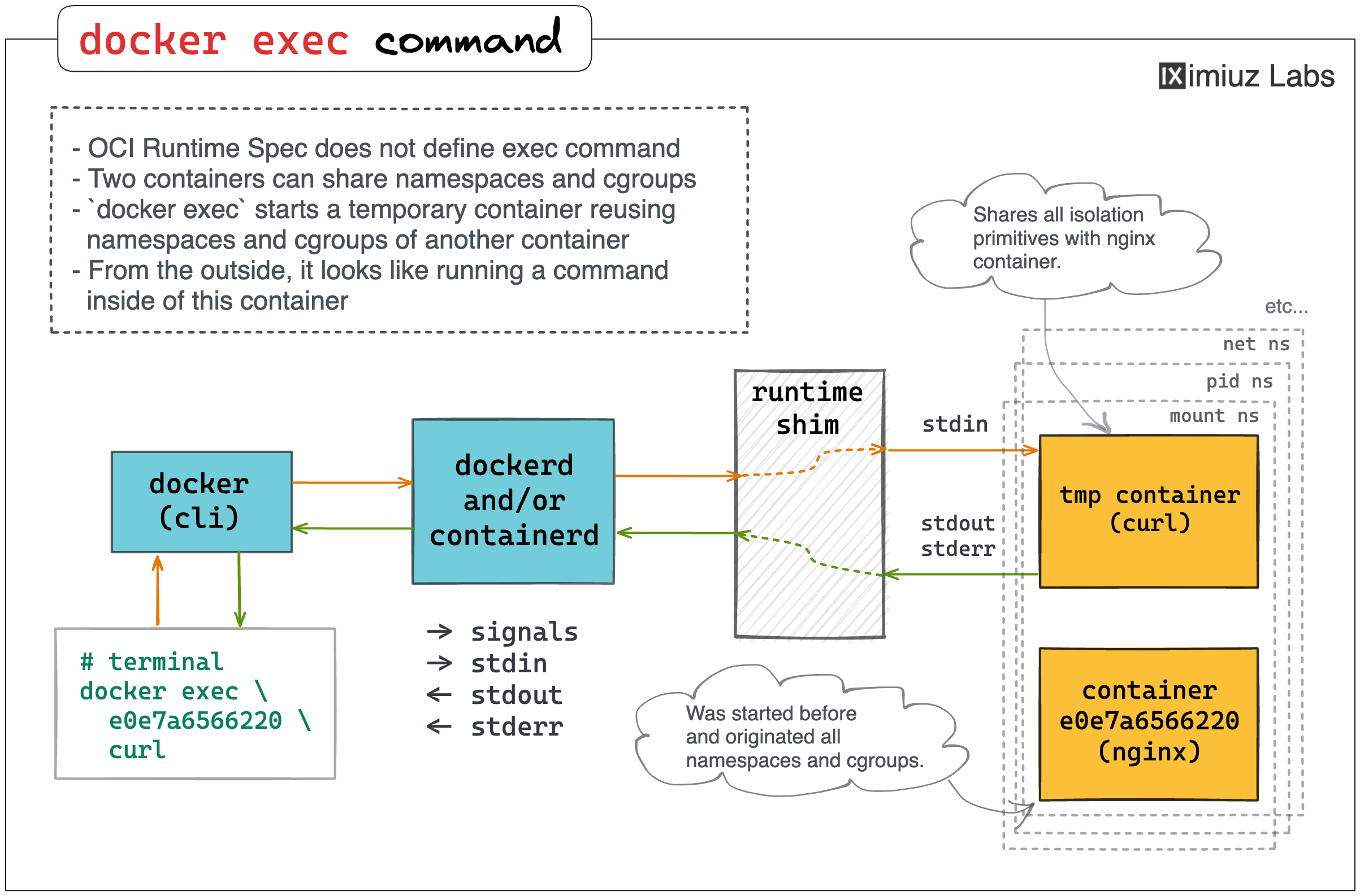 docker exec command visualized.