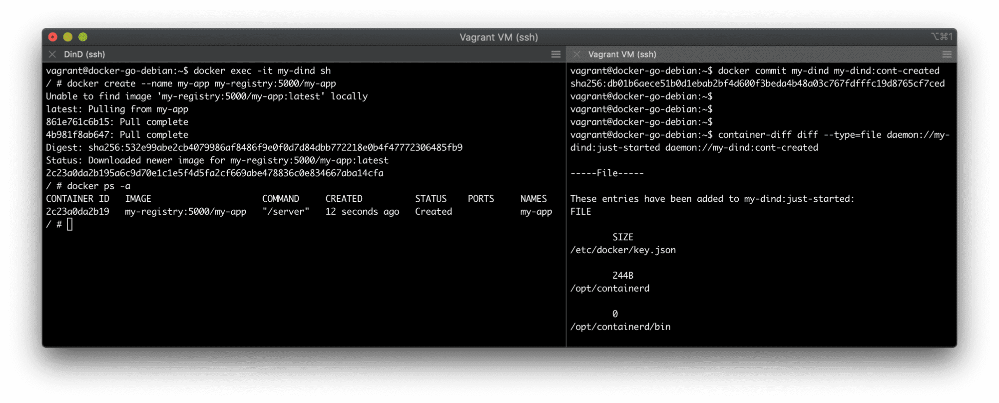 Exploring changes to the DinD container&#39;s filesystem.